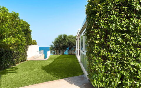Villa Sea Star: Shrub, Garden, Shade, Hedge, Lawn, Landscaping, Yard, Estate, Fence, Villa