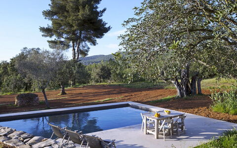 Villa Cave: Swimming Pool, Garden, Shade, Landscaping, Outdoor Furniture, Water Feature, Backyard, Sunlounger, Reflecting Pool, Resort