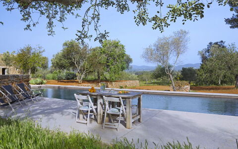Villa Cave: Tree, Swimming Pool, Outdoor Furniture, Landscaping, Pond, Reflection, Reflecting Pool, Flagstone