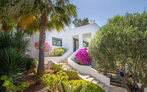 Villa Ilona: Shrub, Garden, Landscaping, Estate, Villa, Resort, Hacienda, Yard, Mansion
