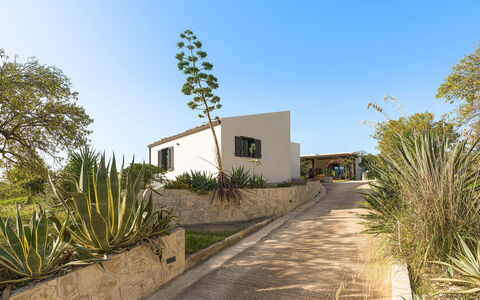 Villa Arcobaleno: Sky, Shrub, Home, Land Lot, Landscaping, Estate, Garden, Shade, Driveway