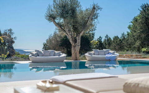Villa Fabula: Furniture, Outdoor Furniture, Chair, Swimming Pool, Resort, Shade, Coffee Table, Natural Material, Design