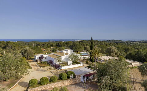 Villa Papiro: Tree, Residential Area, Landscape, Home, Estate, Land Lot, Landscaping, Suburb, Hacienda, Aerial Photography