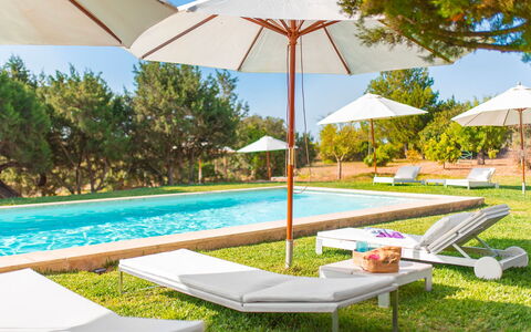 Villa Bouquet: Garden, Outdoor Furniture, Shade, Sunlounger, Umbrella, Lawn, Swimming Pool, Landscaping, Resort, Eco Hotel