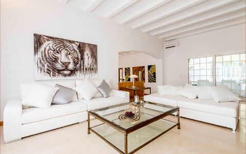 Villa Besso: Furniture, Interior Design, Couch, Flooring, Floor, Wall, Wood, Living Room, Home, Room