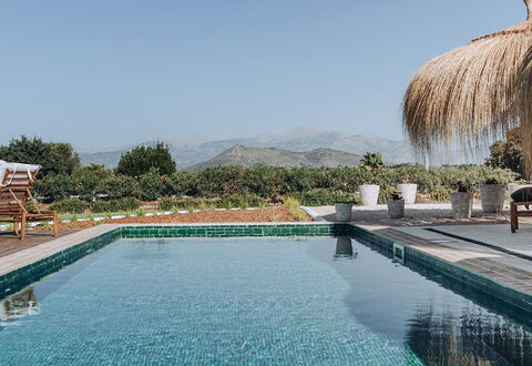 Villa Horses: Outdoor Furniture, Sunlounger, Swimming Pool, Resort, Eco Hotel