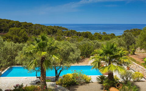 Villa Welcome: Blue, Swimming Pool, Resort, Tropics, Coast, Eco Hotel, Shore, Bay, Caribbean