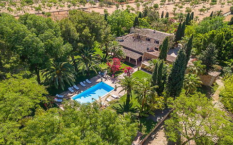 Villa Peacock: Swimming Pool, Resort, Hacienda, Eco Hotel, Garden, Estate, Landscaping, Villa, Hotel