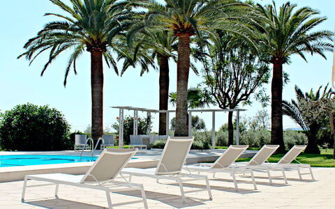 Villa Acapulco: Furniture, Outdoor Furniture, Chair, Resort, Shade, Eco Hotel, Swimming Pool, Sunlounger, Outdoor Table