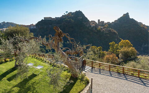 Villa Zafferano: Landscape, Slope, Fence, Chaparral
