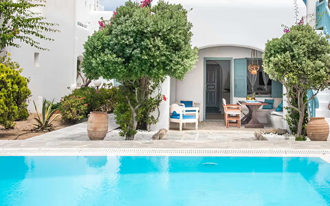 Mykonos Pool House 5: Swimming Pool, Flowerpot, Resort, Houseplant, Outdoor Furniture, Estate, Eco Hotel, Landscaping, Courtyard, Chair