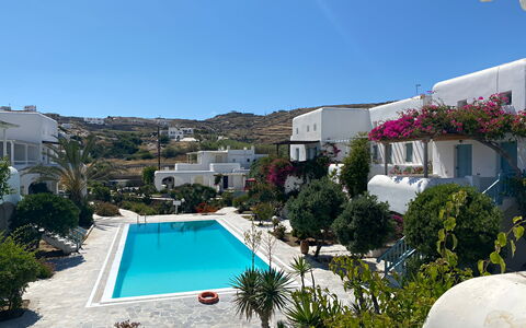 Mykonos Pool House 7: Swimming Pool, Resort, Eco Hotel, Landscaping, Courtyard, Hacienda, Houseplant, Flowerpot, Hotel