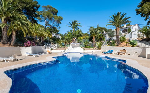 Lisa: Tree, Resort, Tropics, Outdoor Furniture, Shade, Resort Town, Swimming Pool, Landscaping, Eco Hotel