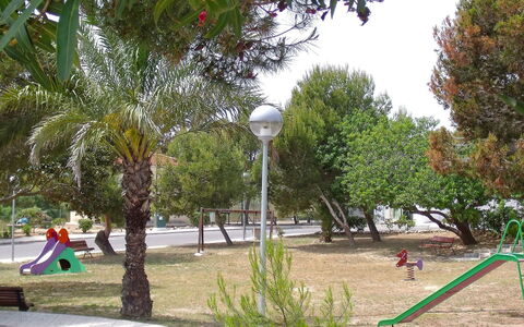 Happy Day: Tree, Public Space, Leisure, Botany, Park, Vacation, Fun, Playground, Grass, Adaptation