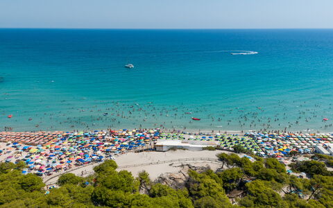 Azzurra: Blue, Body Of Water, Beach, Sea, Coast, Coastal And Oceanic Landforms, Summer, Recreation, Ocean, Shore