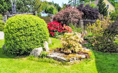 U Kohouta: Green, Flower, Leaf, Garden, Shrub, Plant Community, Groundcover, Lawn, Woody Plant