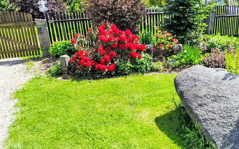 U Kohouta: Flower, Grass, Garden, Shrub, Lawn, Groundcover, Backyard, Yard