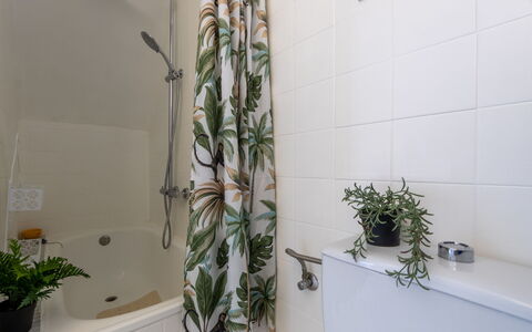 Gilet: Interior Design, Plumbing Fixture, Bathroom, Plumbing, Flowerpot, Toilet, Houseplant, Toilet Seat, Tap, Sink