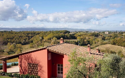 Podere Galieni: Grass, Shrub, Land Lot, Home, Rural Area, Farmhouse, Estate, Garden, Cottage, Landscaping