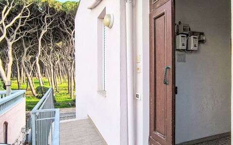 Casa Irma: Shade, Resort, Estate, Hacienda, Swimming Pool, Eco Hotel, Landscaping, Hotel, Villa