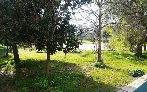 Noemi'S House in Otranto: Leaf, Branch, Shrub, Garden, Trunk, Woody Plant, Lawn, Shade, Landscaping, Yard