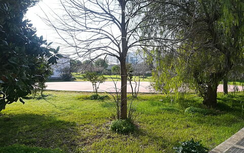 Noemi'S House in Otranto: Leaf, Grass, Branch, Green, Nature, Vegetation, Shrub, Garden, Trunk, Twig
