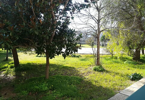 Noemi'S House in Otranto: Leaf, Branch, Shrub, Garden, Trunk, Woody Plant, Lawn, Shade, Landscaping, Yard