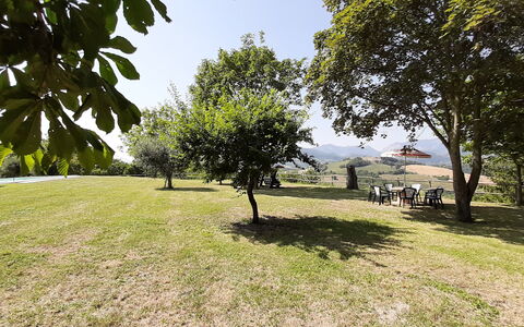 Villa Felice, Private Pool and Hills: Tree, Grass, Branch, Plain, Landscape, Grassland, Land Lot, Sunlight, Lawn, Meadow