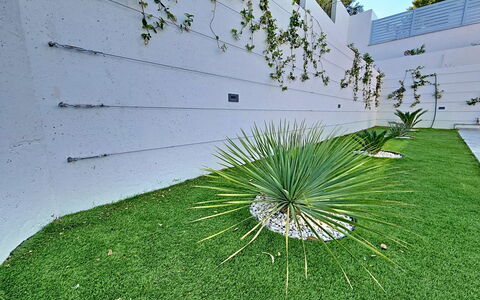 Aloa Iii: Garden, Lawn, Landscaping, Artificial Turf, Yard, Backyard, Shade, Walkway, Courtyard