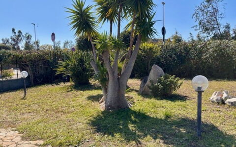 Villetta del Mirto: Shrub, Garden, Woody Plant, Landscaping, Shade, Yard, Walkway, Botanical Garden