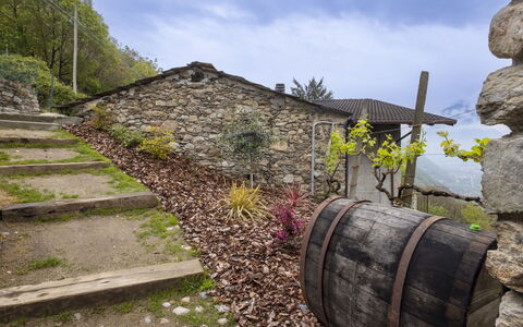 Valtellina 645: Rural Area, Garden, Stone Wall, Landscaping, Flagstone, Backyard