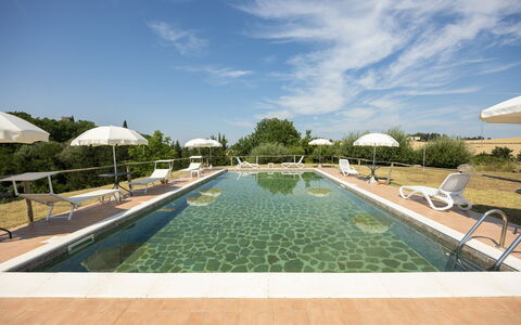Il Giuncheto, Pool, Amazing View, Umbrian Countrys: Swimming Pool, Landscaping, Outdoor Furniture, Plantation