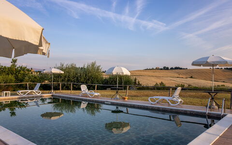 Il Giuncheto Apartments, Pool, Umbrian Countryside: Swimming Pool, Outdoor Furniture, Sunlounger, Umbrella