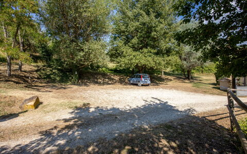 Il Giuncheto Apartments, Pool, Umbrian Countryside: Tree, Trail, Soil, Family Car, Parking, Driveway, Shade