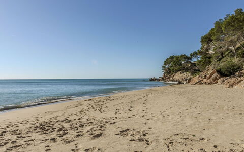 Los Delfines: Swimming Pool, Resort, Estate, Eco Hotel, Hacienda, Villa, Hotel, Resort Town, Seaside Resort, Mansion
