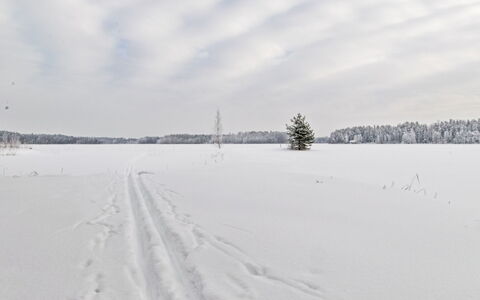 Millantupa: Sky, Snow, Daytime, Winter, Branch, Natural Landscape, Freezing, Geological Phenomenon, Morning, Slope