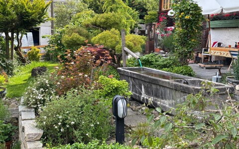 Gartenstudio Belle Vue: Green, Shrub, Garden, Groundcover, Spring, Botanical Garden, Landscaping, Yard, Walkway
