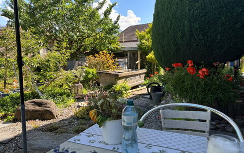 Gartenstudio Belle Vue: Green, Furniture, Shrub, Garden, Chair, Flowerpot, Table, Outdoor Furniture, Outdoor Table