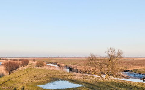 Wischhafen 648: Sky, Natural Environment, Natural Landscape, Marsh, Ecoregion, Plain, Grassland
