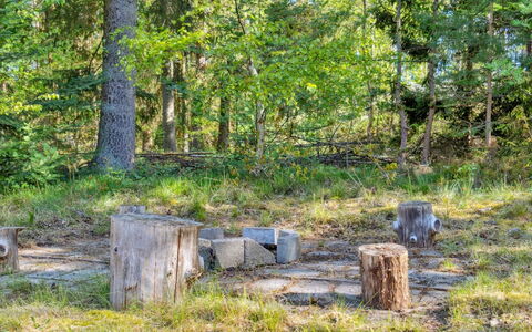 Sigge - 5Km from the Sea: Wood, Home, Porch, Deck, Hardwood, Roof, Wood Stain, Wood Flooring, Eco Hotel