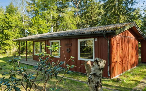 Sigge - 5Km from the Sea: Wood, Home, Porch, Deck, Hardwood, Roof, Wood Stain, Wood Flooring, Eco Hotel