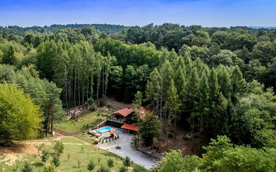 Pine Hill