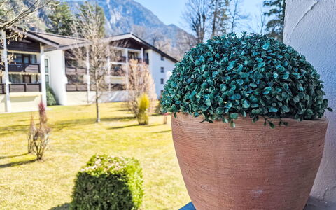 Grubhof: Groundcover, Garden