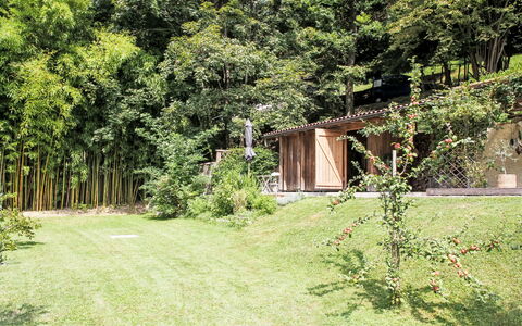 Uggine 66: Garden, Shade, Lawn, Landscaping, Yard, Park