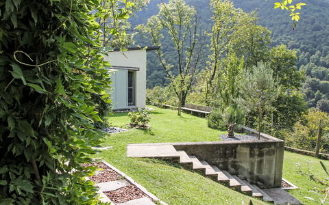 Uggine 66: Garden, Shade, Lawn, Landscaping, Yard, Park