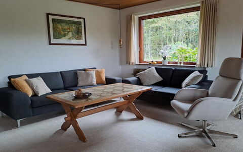 Wildemor - 30Km from the Sea: Furniture, Flooring, Interior Design, Wood, Floor, Couch, Living Room, Home, Lighting, Room