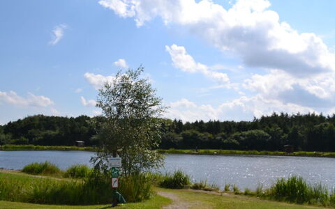 Biergh - 30Km from the Sea: Water, Water Resources, Body Of Water, Green, Watercourse, Bank, Waterway, Lake