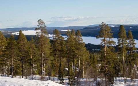 Svanhågna Gård: Wood, Cottage, Home, House, Roof, Siding, Winter, Snow, Freezing, Slope