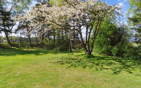 Hornbogi - 1Km from the Sea: Furniture, Wood, Interior Design, Flooring, Floor, Chair, Room, Ceiling, Living Room, Apartment