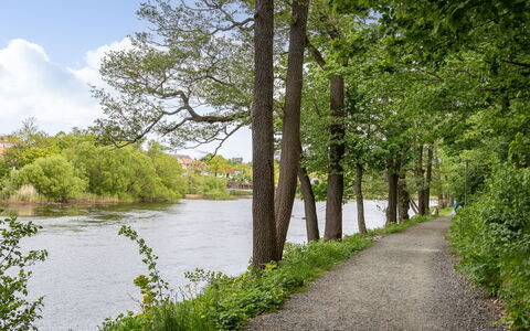 Alegränd: Water, Water Resources, Body Of Water, Tree, Green, Nature, Natural Environment, Leaf, Natural Landscape